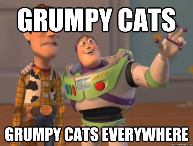 Grumpy cats Grumpy cats everywhere  Buzz Lightyear