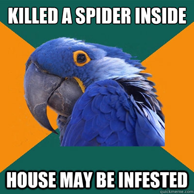 killed a spider inside house may be infested  Paranoid Parrot