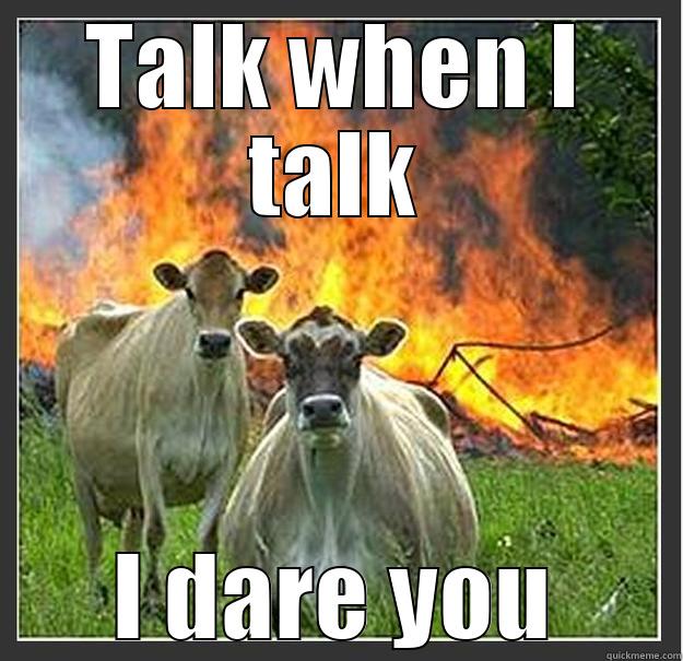 TALK WHEN I TALK I DARE YOU Evil cows