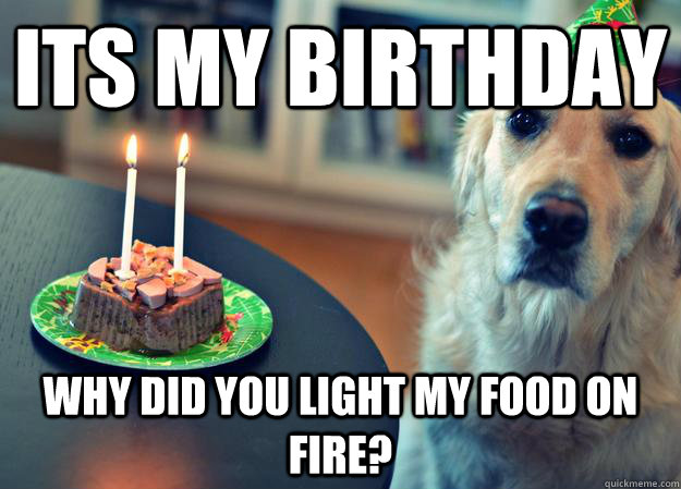 its my birthday  why did you light my food on fire?  Sad Birthday Dog