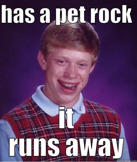 has a pet rock that runs away - HAS A PET ROCK  IT RUNS AWAY Bad Luck Brian