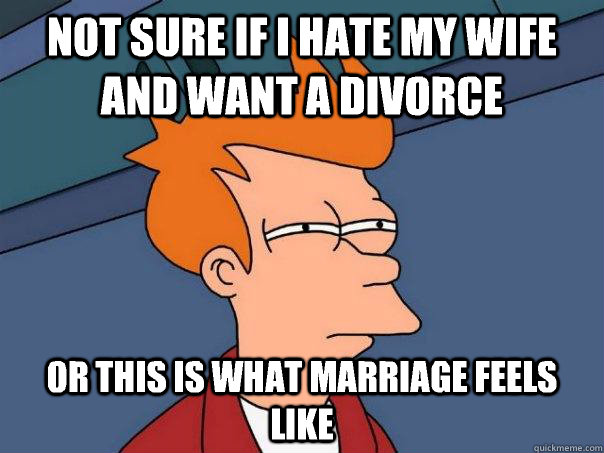 Not sure if I hate my wife and want a divorce or this is what marriage feels like  Futurama Fry