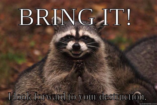 BRING IT! I LOOK FORWARD TO YOUR DESTRUCTION. Evil Plotting Raccoon