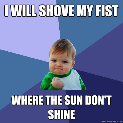 I will shove my fist Where the sun don't shine  Success Kid