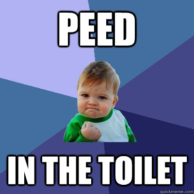 Peed in the toilet  Success Kid