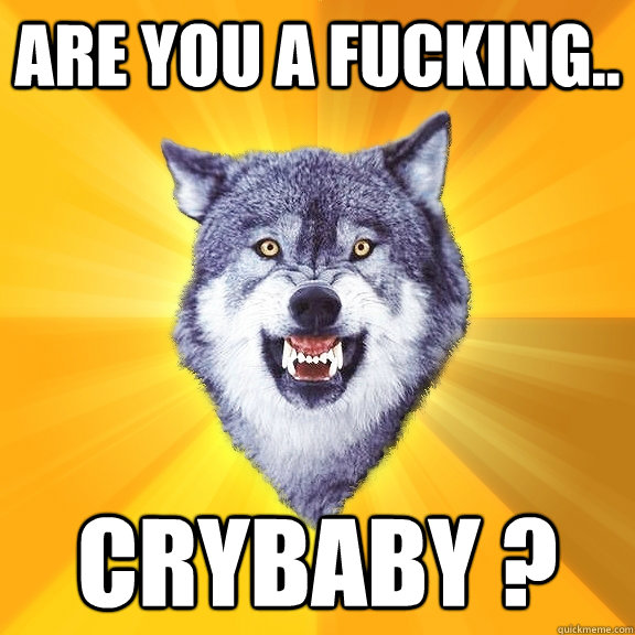 Are you a fucking.. Crybaby ?  Courage Wolf