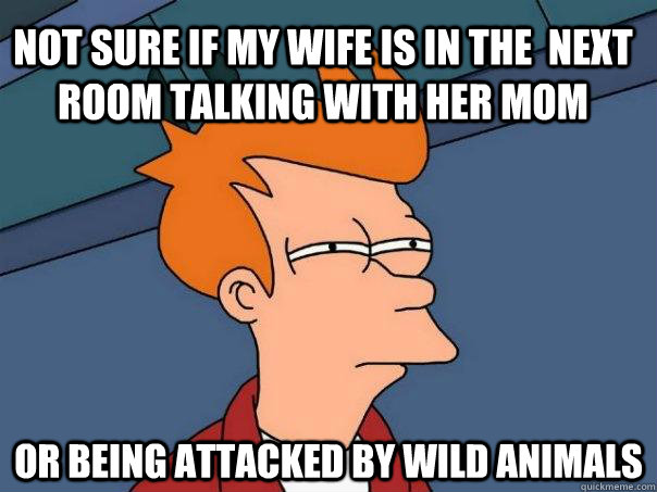 Not sure if my wife is in the  next room talking with her mom or being attacked by wild animals - Not sure if my wife is in the  next room talking with her mom or being attacked by wild animals  Futurama Fry