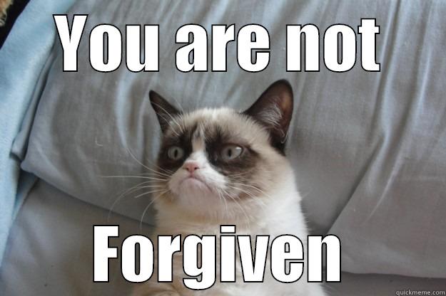 Not Forgiven - YOU ARE NOT FORGIVEN Grumpy Cat