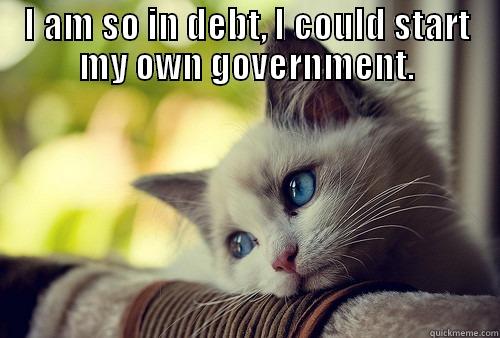 Govt Kittys Sarcasm - I AM SO IN DEBT, I COULD START MY OWN GOVERNMENT.  First World Problems Cat