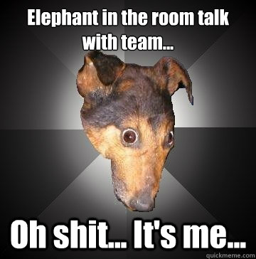 Elephant in the room talk with team... Oh shit... It's me...  Depression Dog