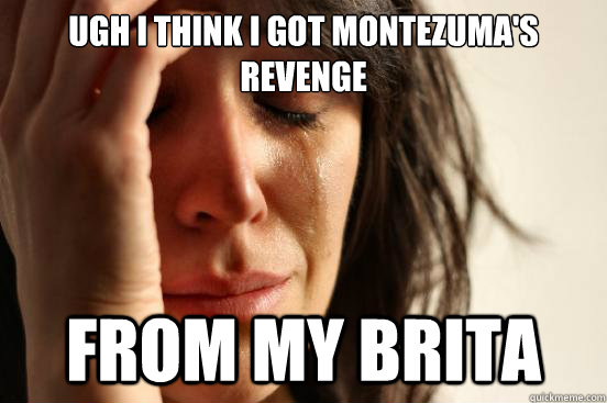 Ugh i think i got montezuma's revenge from my brita  First World Problems