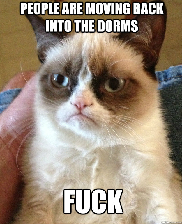 People are moving back into the dorms Fuck  Grumpy Cat