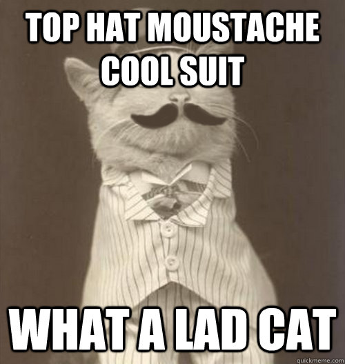 top hat moustache cool suit what a lad cat  Original Business Cat