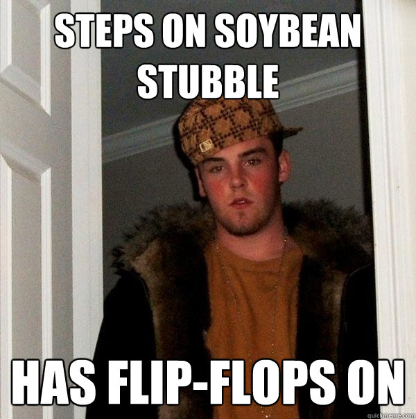 steps on soybean stubble has flip-flops on - steps on soybean stubble has flip-flops on  Scumbag Steve