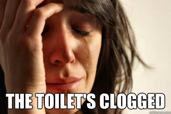  The toilet's clogged  First World Problems