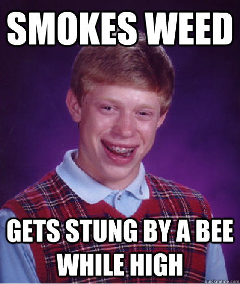 Smokes weed Gets stung by a bee while high  Bad Luck Brian