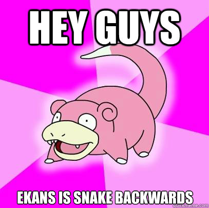 Hey guys ekans is snake backwards  Slowpoke