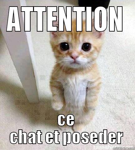 ATTENTION CE CHAT ET POSEDER Misc