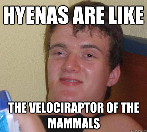 Hyenas are like the velociraptor of the mammals  10 Guy