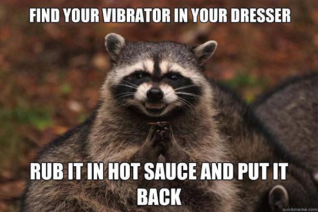 Find your vibrator in your dresser Rub it in hot sauce and put it back - Find your vibrator in your dresser Rub it in hot sauce and put it back  Evil Plotting Raccoon