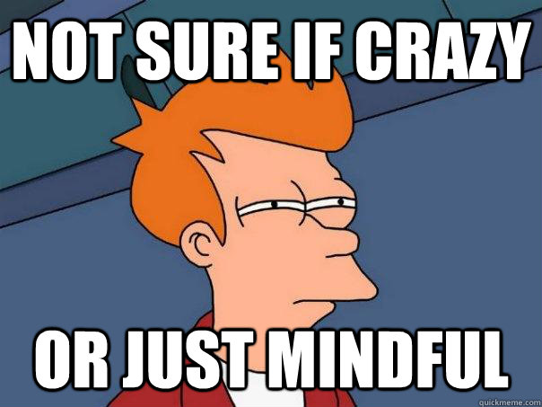 Not sure if crazy Or just mindful  Futurama Fry