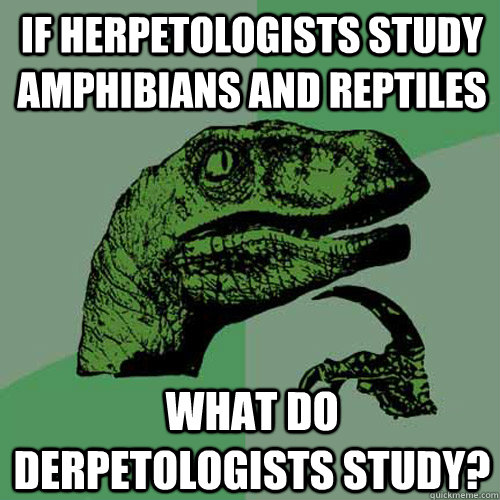 If herpetologists study amphibians and reptiles what do derpetologists study? - If herpetologists study amphibians and reptiles what do derpetologists study?  Philosoraptor