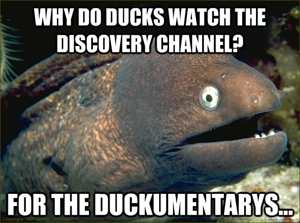 Why do ducks watch the Discovery Channel? For the Duckumentarys...  Bad Joke Eel