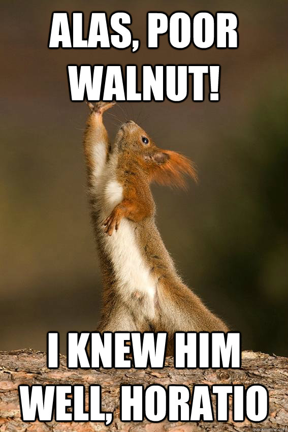 Alas, poor walnut! I knew him well, Horatio  Shakespeare Squirrel