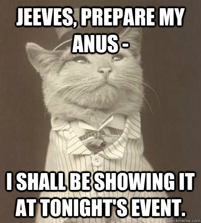 Jeeves, prepare my Anus -  I shall be showing it at tonight's event.  Aristocat