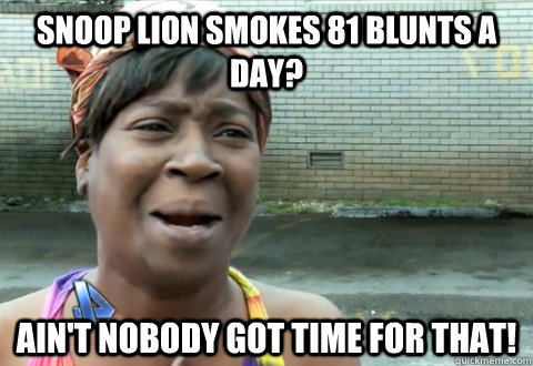 Snoop Lion smokes 81 blunts a day? Ain't nobody got time for that!  