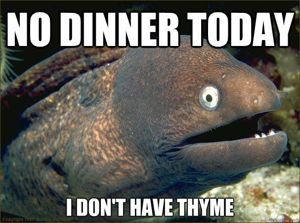 No dinner today I don't have thyme - No dinner today I don't have thyme  Bad Joke Eel