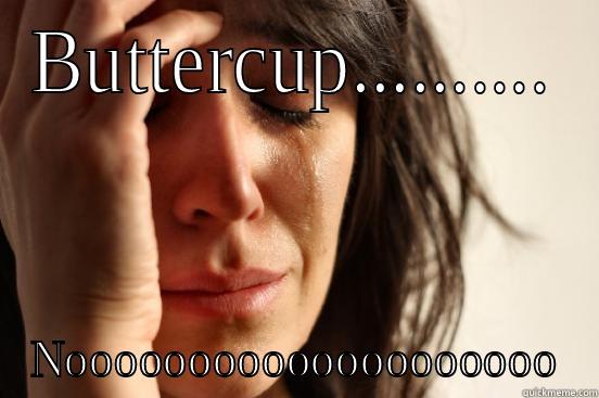 BUTTERCUP.......... NOOOOOOOOOOOOOOOOOOOO First World Problems