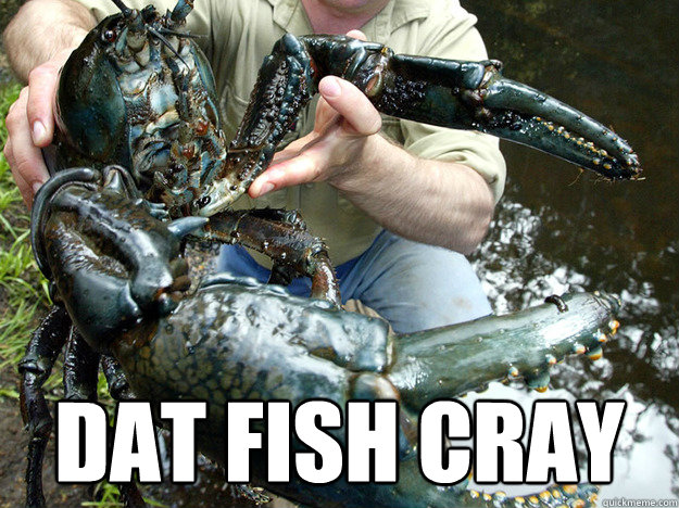  Dat fish cray  Hip hop crawfish