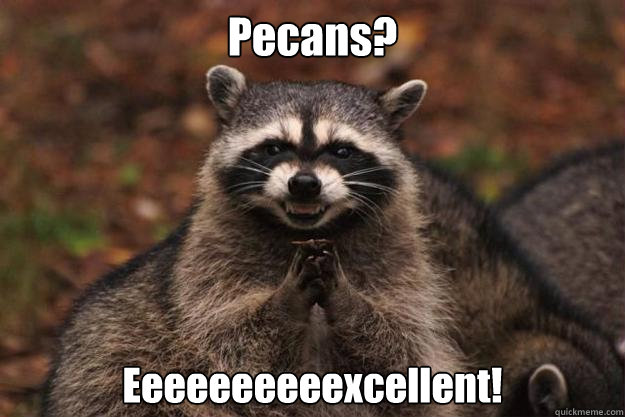 Pecans? Eeeeeeeeeexcellent!
  - Pecans? Eeeeeeeeeexcellent!
   Evil Plotting Raccoon