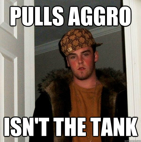 pulls aggro isn't the tank  Scumbag Steve