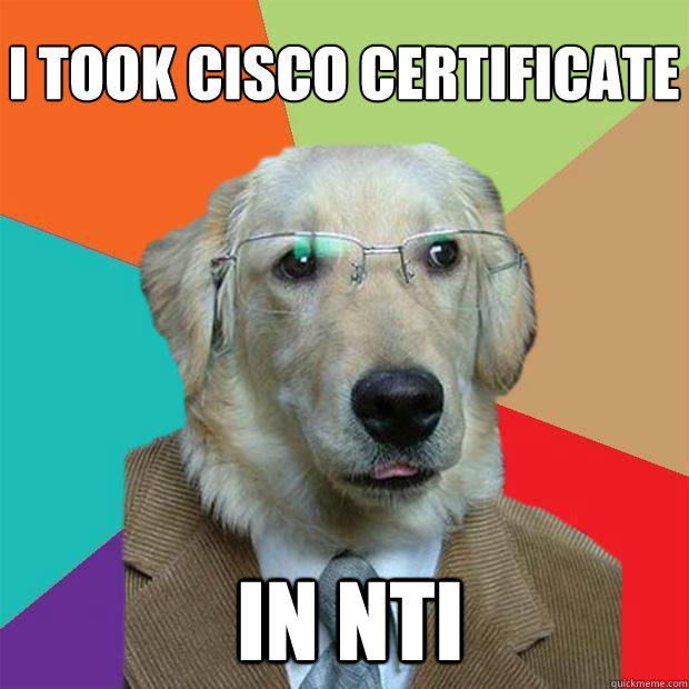 I took cisco certificate
 In NTI  Business Dog