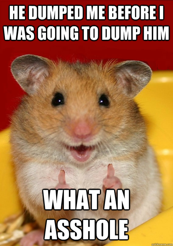 He dumped me before I was going to dump him What an asshole  - He dumped me before I was going to dump him What an asshole   Rationalization Hamster