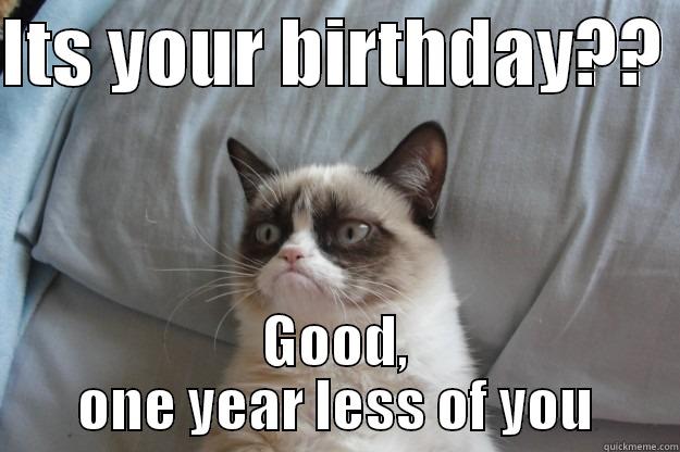 ITS YOUR BIRTHDAY??  GOOD, ONE YEAR LESS OF YOU Grumpy Cat