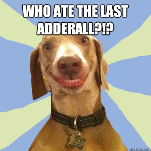 Who ate the last Adderall?!?   Disgusting Doggy