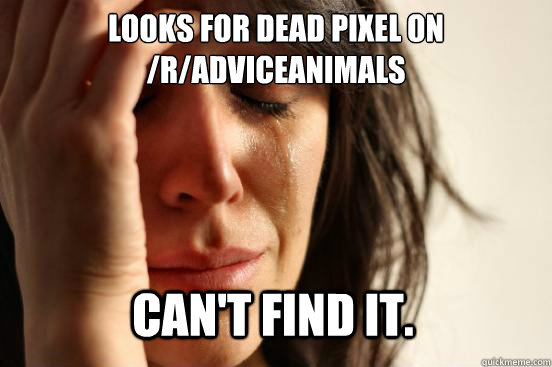 looks for dead pixel on /r/adviceanimals can't find it. - looks for dead pixel on /r/adviceanimals can't find it.  First World Problems