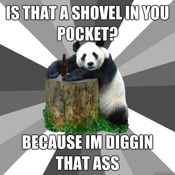 IS THAT A SHOVEL IN YOU POCKET? BECAUSE IM DIGGIN THAT ASS  Pickup-Line Panda