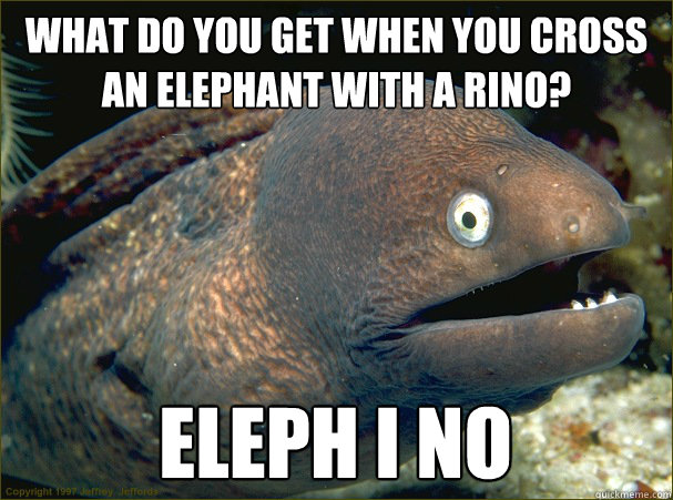 What do you get when you cross an elephant with a Rino? Eleph i no  Bad Joke Eel