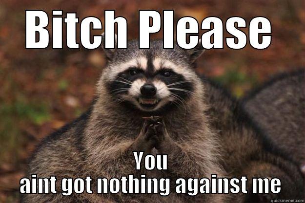 Yahh wooh hoo - BITCH PLEASE YOU AINT GOT NOTHING AGAINST ME Evil Plotting Raccoon