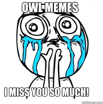 Owl memes I miss you so much!  Crying meme