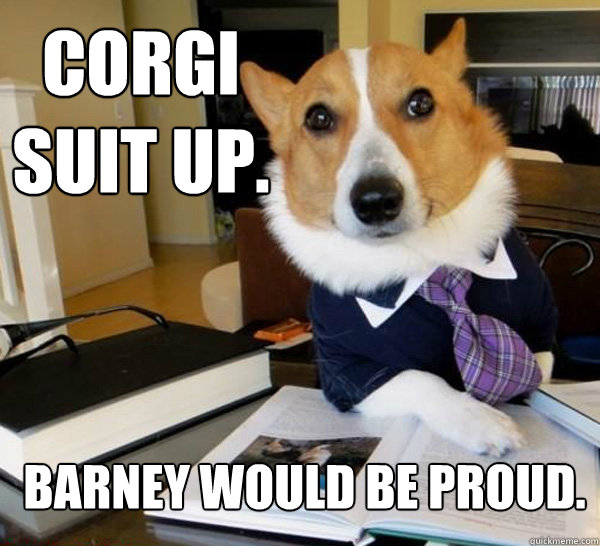 Corgi Suit Up. Barney would be Proud. - Corgi Suit Up. Barney would be Proud.  Lawyer Dog