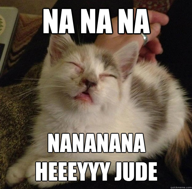 na na na nananana 
heeeyyy jude  Alcoholic Karaoke Cat