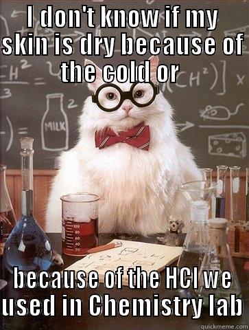 Chemistry  - I DON'T KNOW IF MY SKIN IS DRY BECAUSE OF THE COLD OR  BECAUSE OF THE HCL WE USED IN CHEMISTRY LAB Chemistry Cat