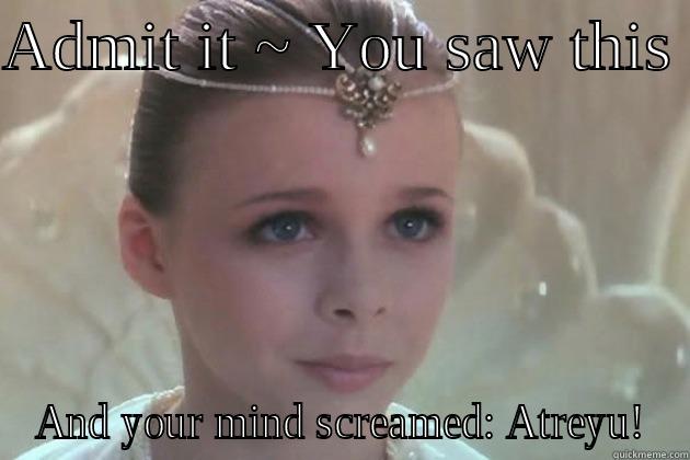 Neverending Story - ADMIT IT ~ YOU SAW THIS  AND YOUR MIND SCREAMED: ATREYU! Misc