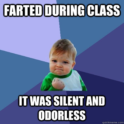 farted during class it was silent and odorless  Success Kid