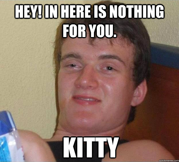 Hey! In here is nothing for you. Kitty  The High Guy